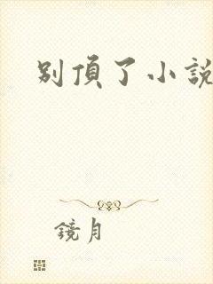 别顶了小说封面