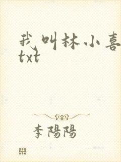 我叫林小喜小说txt