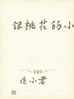 银桃花的小说封面