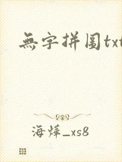 无字拼图txt