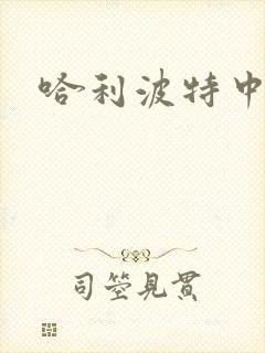 哈利波特中文版