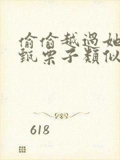 偷偷越过她by甄栗子类似小说