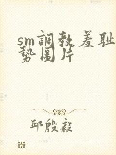 sm调教羞耻姿势图片封面