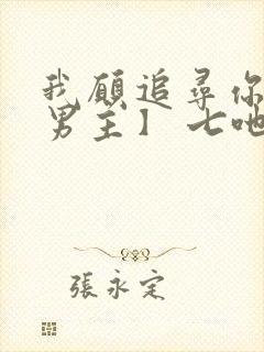 我愿追寻你【双男主】 七吔封面