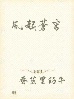 风起苍穹封面
