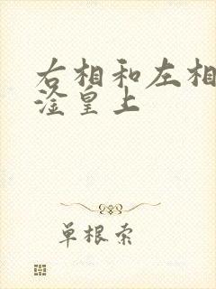 右相和左相一起淦皇上