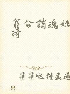 翁公销魂姚瑶琦琦封面