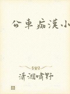 公车痴汉小说