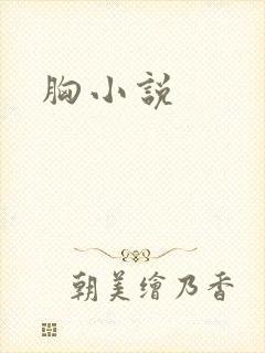 胸小说