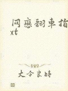 网恋翻车指南txt封面