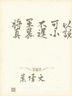 将军不可以魏云真慕迟小说笔趣阁