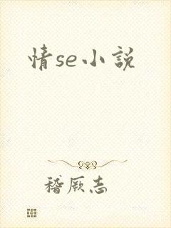 情se小说
