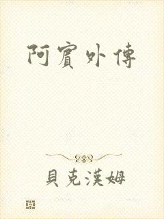 阿宾外传