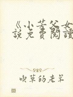 《小芳父女》小说免费阅读