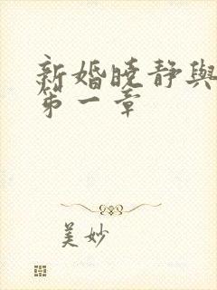 新婚晓静与翁公笫一章