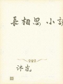 长相思 小说