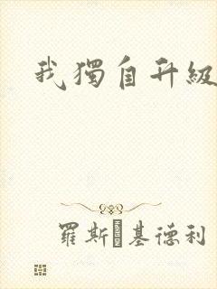 我独自升级封面