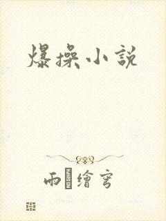 爆操小说