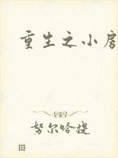 重生之小房东