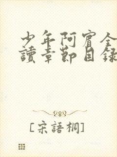 少年阿宾全文阅读章节目录