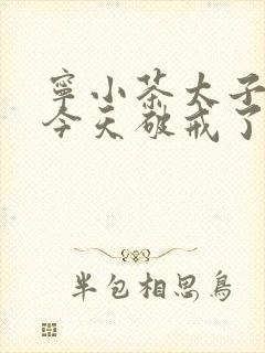 宁小茶太子殿下今天破戒了吗免费阅读