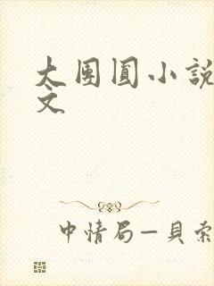 大团圆小说集全文