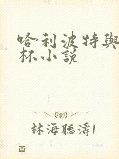 哈利波特与火焰杯小说封面