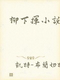 柳下挥小说