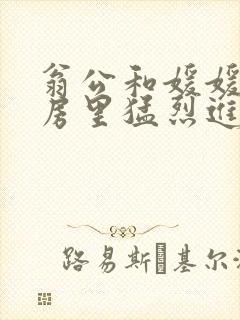 翁公和媛媛在厨房里猛烈进出