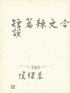 短篇辣文合集小说