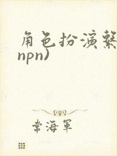 角色扮演系统(npn)封面