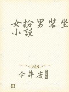 女扮男装坐江山小说