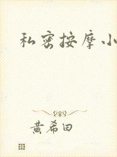 私密按摩小说封面