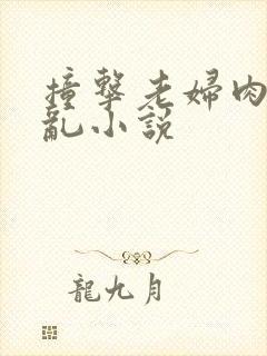 撞击老妇肉体之乱小说