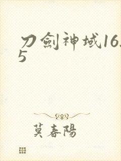 刀剑神域16.5