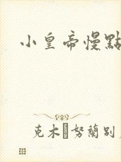 小皇帝慢点疼封面