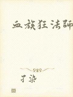 血族狂法师封面