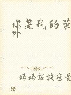 你是我的荣耀番外