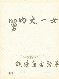np肉文一女多男