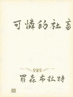 可怜的社畜小说