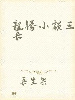龙腾小说三宝局长封面