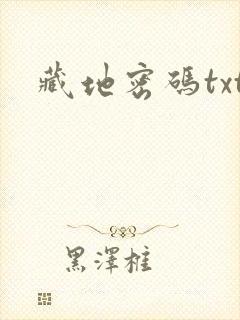 藏地密码txt封面