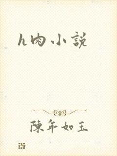 h肉小说