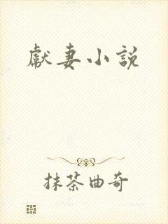 献妻小说
