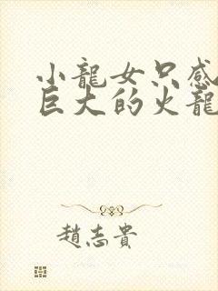 小龙女只感觉那巨大的火龙枪