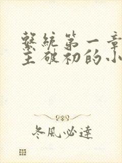 系统第一章给宿主破初的小说