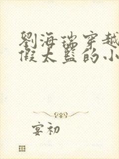 刘海瑞穿越后宫假太监的小说