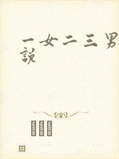 一女二三男事小说