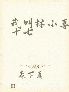 我叫林小喜今年十七