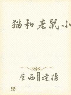 猫和老鼠小说